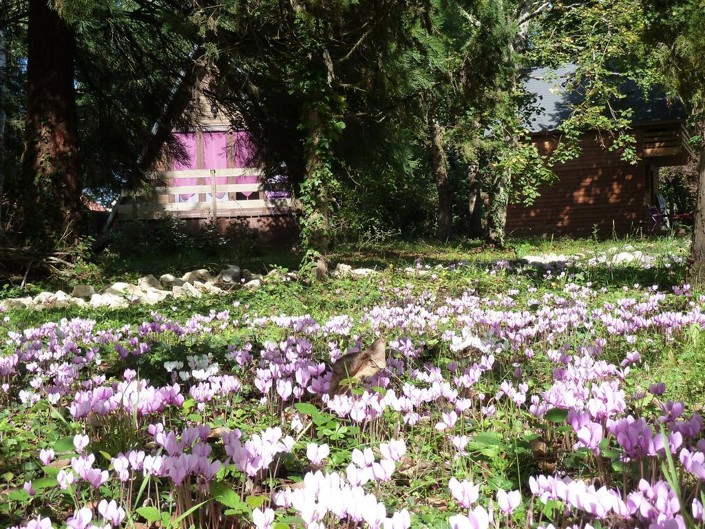 La Rossignolerie - Cabane Aux Oiseaux Chouzy-sur-Cisse ภายนอก รูปภาพ