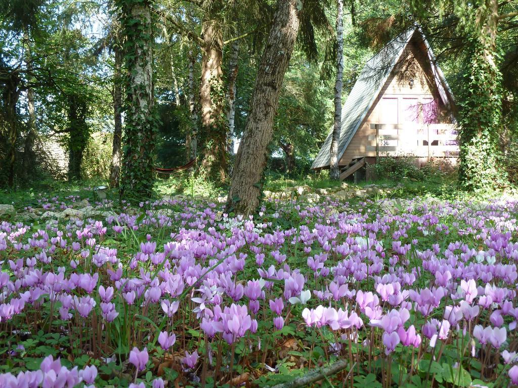 La Rossignolerie - Cabane Aux Oiseaux Chouzy-sur-Cisse ภายนอก รูปภาพ
