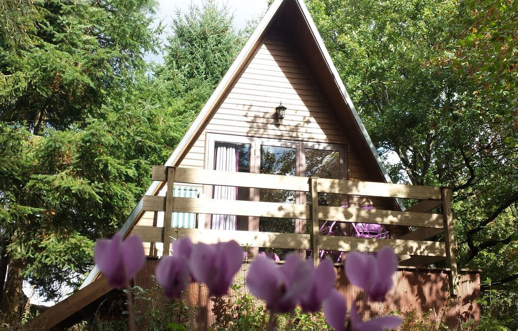 La Rossignolerie - Cabane Aux Oiseaux Chouzy-sur-Cisse ภายนอก รูปภาพ